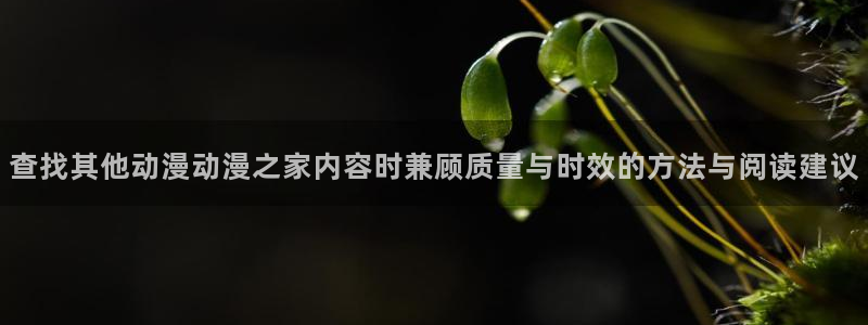 动漫国漫推荐