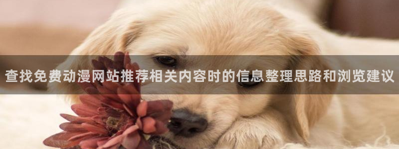 动画推荐