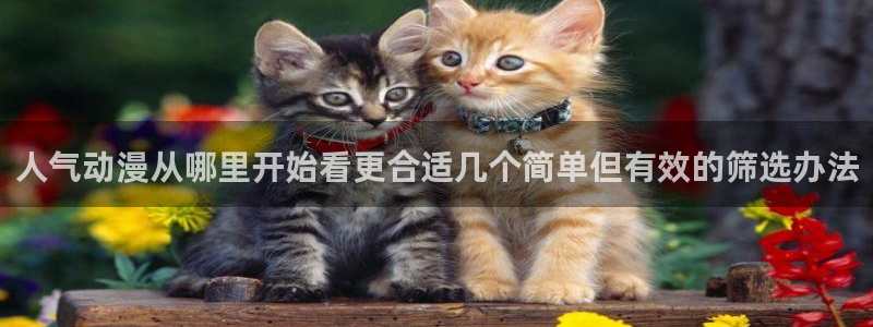 动画推荐:人气动漫从哪里开始看更合适几个简单但有效的筛选办法