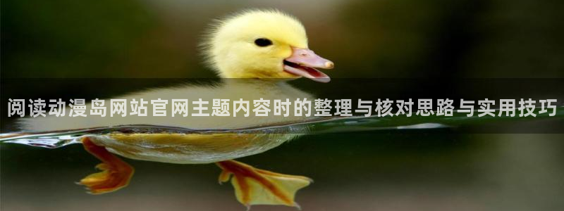 新番动漫推荐