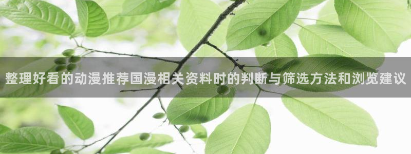 搞笑国漫推荐:整理好看的动漫推荐国漫相关资料时的判断与筛选方法和浏览建议
