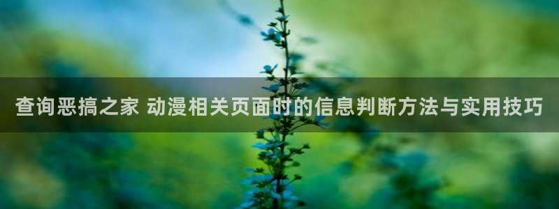51动漫网站