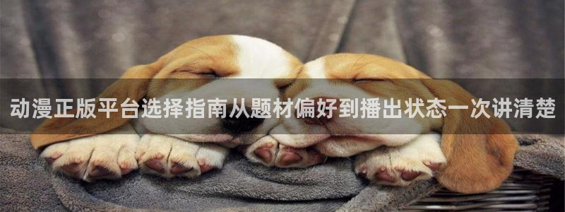 动漫片推荐:动漫正版平台选择指南从题材偏好到播出状态一次讲清楚