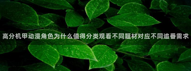 双男动漫推荐:高分机甲动漫角色为什么值得分类观看不同题材对应不同追番需求